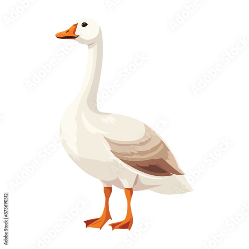 Cartoon cute goose isolated on white solid background photo