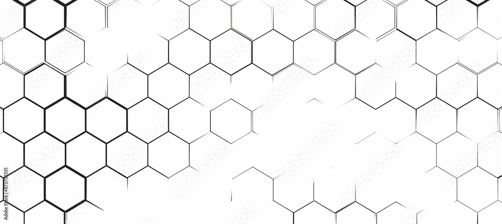 Fototapeta premium white background, seamless pattern of black hexagon grid line