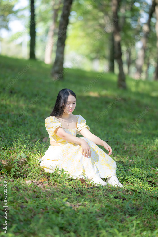 Enchanting scene of a young Chinese Malaysian woman playing violin amidst the lush forest in Bukit Jalik Park. Her yellow dress creates a striking contrast against the green backdrop. Enchanting scene of a young Chinese Malaysian woman playing violin amidst the lush forest in Bukit Jalik Park. Her yellow dress creates a striking contrast against the green backdrop.