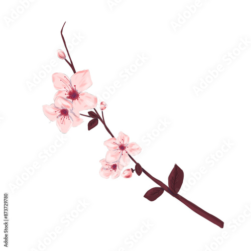 Cherry tree branch with flowers illustration