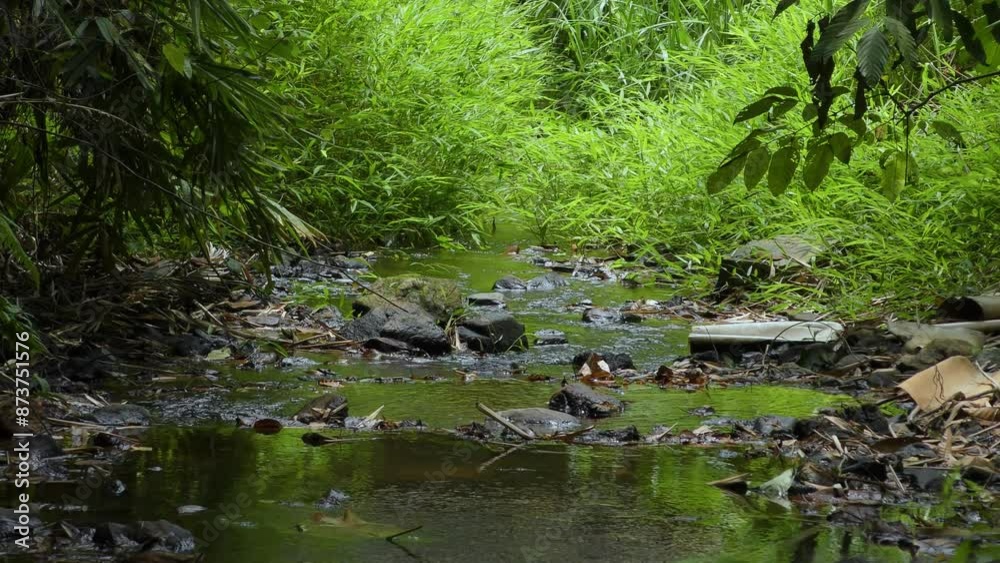 Small river running through the jungle with debris of rock in stuck in the water. Small river running through the jungle with debris of rock in stuck in the water.
