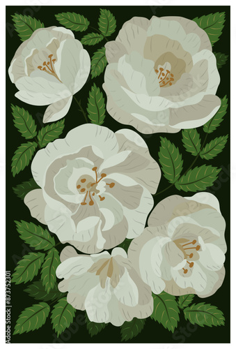 Blooming tea rose. Vector botanical detailed card. Stylized isolated flowers, buds, leaves. Size 2:3