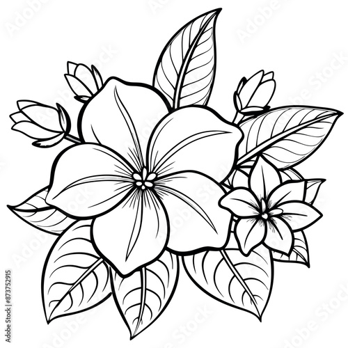 Coloring sheets of Allamanda cathartic flowers
