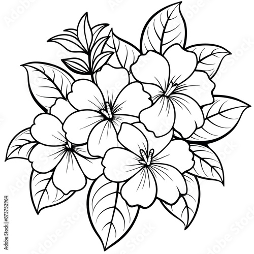 Coloring sheets of Allamanda cathartic flowers