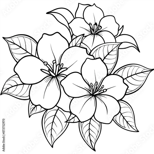 Coloring sheets of Allamanda cathartic flowers