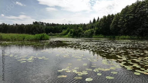 Drone view of a lake surrounded by wild nature and forest