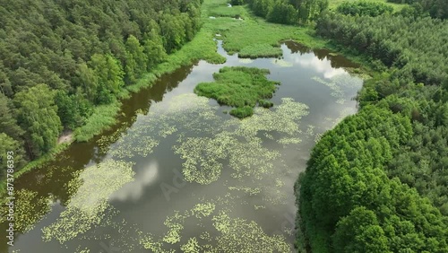 Drone view of a lake surrounded by wild nature and forest