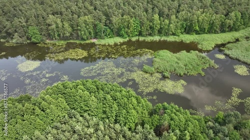 Drone view of a lake surrounded by wild nature and forest