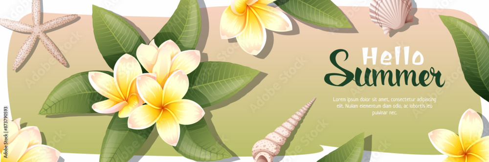 Obraz premium Summer sale banner with plumeria. Background with tropical Thai flower. Yellow Frangipani with shells and clams