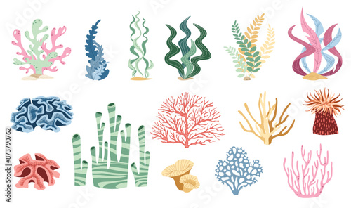 Set of flat seaweeds, corals, reefs on a white background. Vector illustration of aquatic plants in doodle style. Suitable for decoration, sticker design