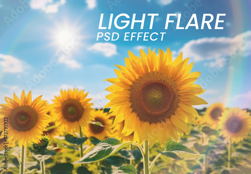 Light Flare PSD Effect