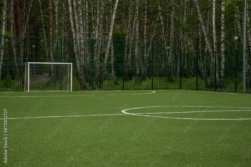 Fototapeta premium Mini football field with net