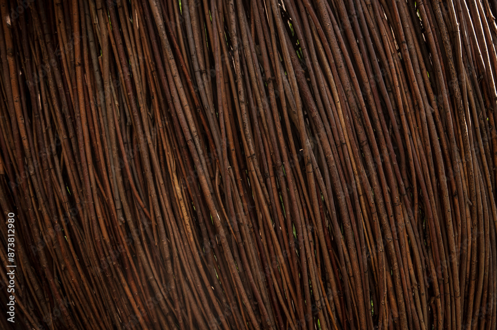 Cut thin branches of a tree stacked in a pile. The brushwood lying on the ground. Scattered thin dry branches. Background of tree branches. Cut thin branches of a tree stacked in a pile. The brushwood lying on the ground. Scattered thin dry branches. Background of tree branches.