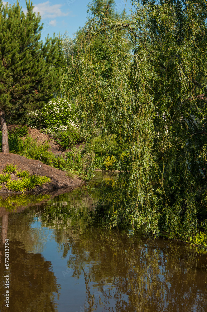 Resting place with benches at lake shore in summer sunny day