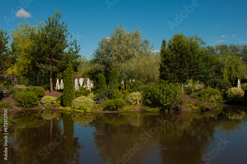 Resting place with benches at lake shore in summer sunny day