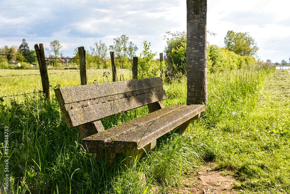 concrete bench in the field