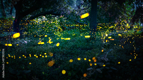 Firefly flying in the forest. Fireflies in the bush at night in Prachinburi Thailand. Long exposure photo. photo