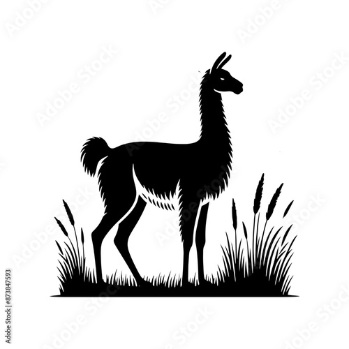 Guanaco Silhouette - Guanaco Vector Design - Minimalist Guanaco Illustration.