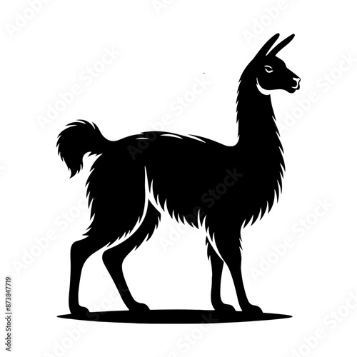 Guanaco Silhouette - Guanaco Vector Design - Minimalist Guanaco Illustration.