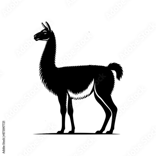 Guanaco Silhouette - Guanaco Vector Design - Minimalist Guanaco Illustration.