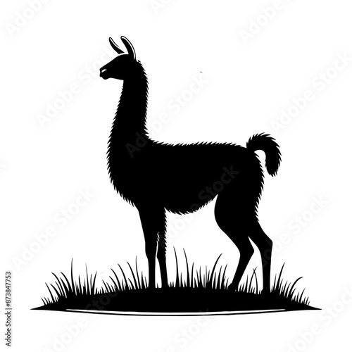 Guanaco Silhouette - Guanaco Vector Design - Minimalist Guanaco Illustration.