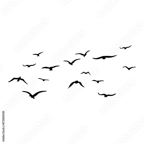 birds are circling