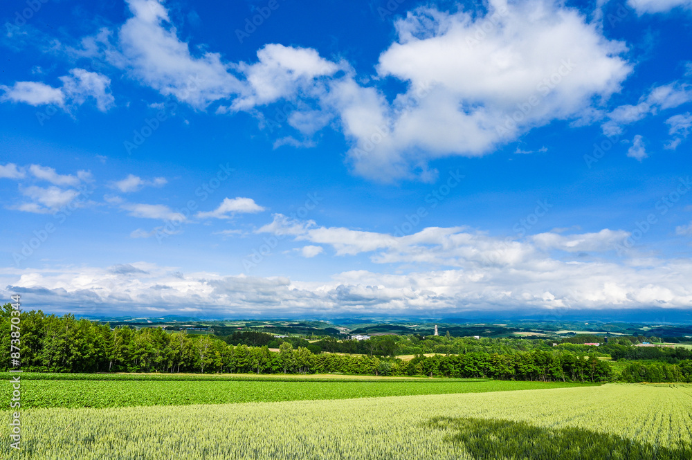 Obraz premium 日本北海道上川郡美瑛町の丘の風景
