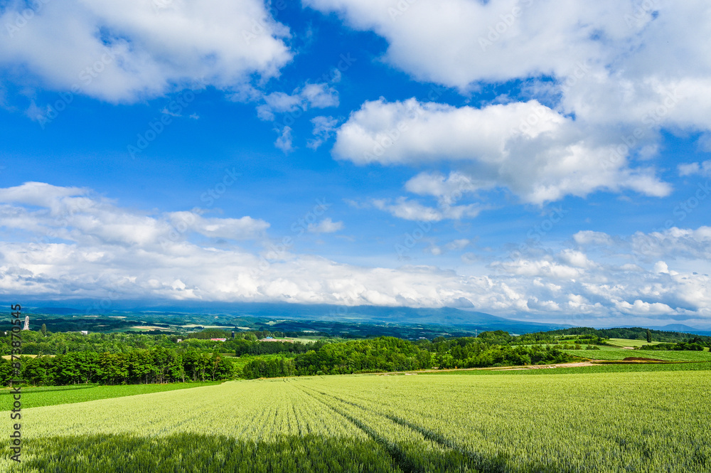 日本北海道上川郡美瑛町の丘の風景 日本北海道上川郡美瑛町の丘の風景