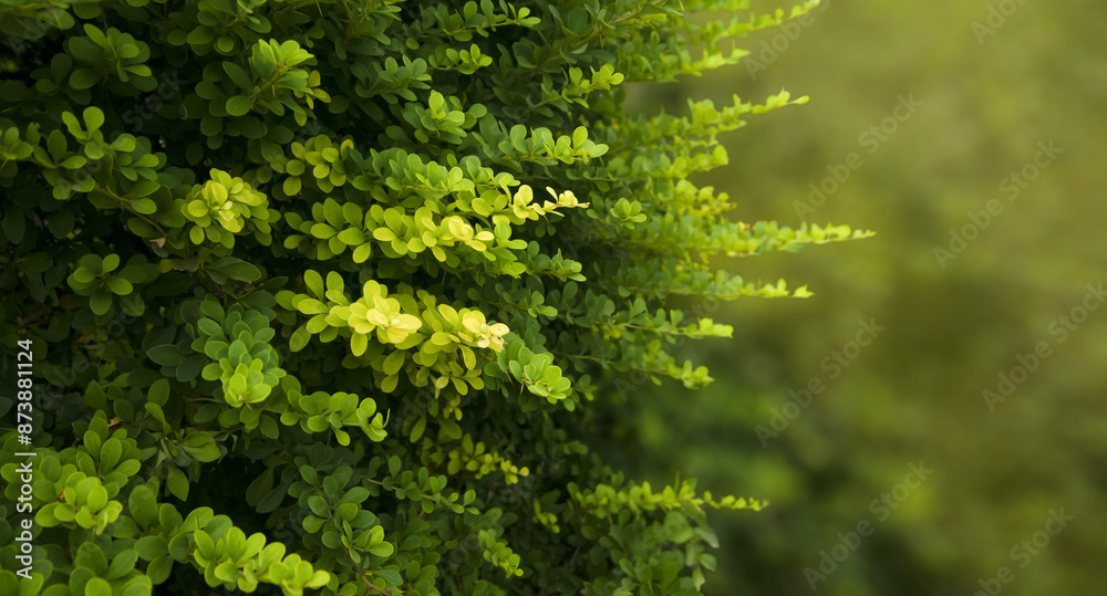 Green leaves with veins on an abstract nature background Green leaves with veins on an abstract nature background
