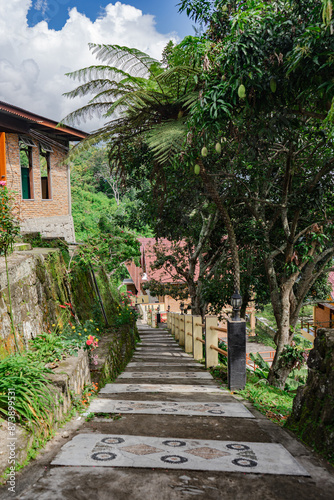 Picturesque Pathway near Traditional Buildings in Lush Greenery