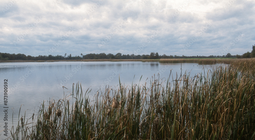 Etang, Dombes, 01, Ain, France Etang, Dombes, 01, Ain, France
