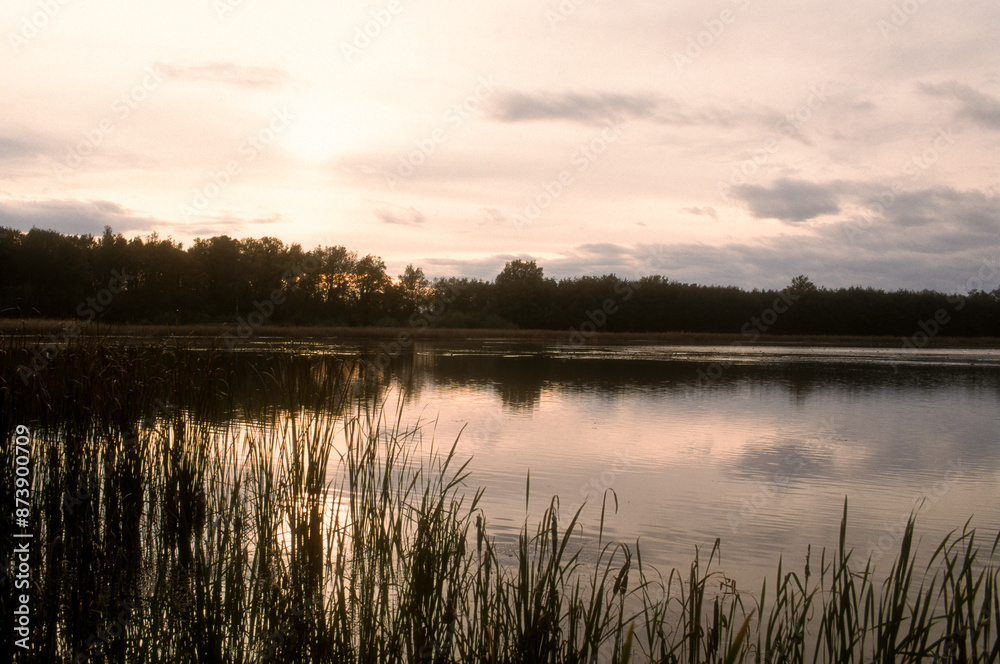 Fototapeta premium coucher de soleil, Etang, La Dombes, 01, Ain, France