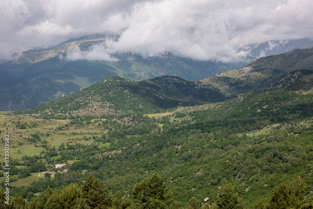 Obraz premium landscape with clouds