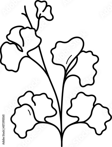 Gingko