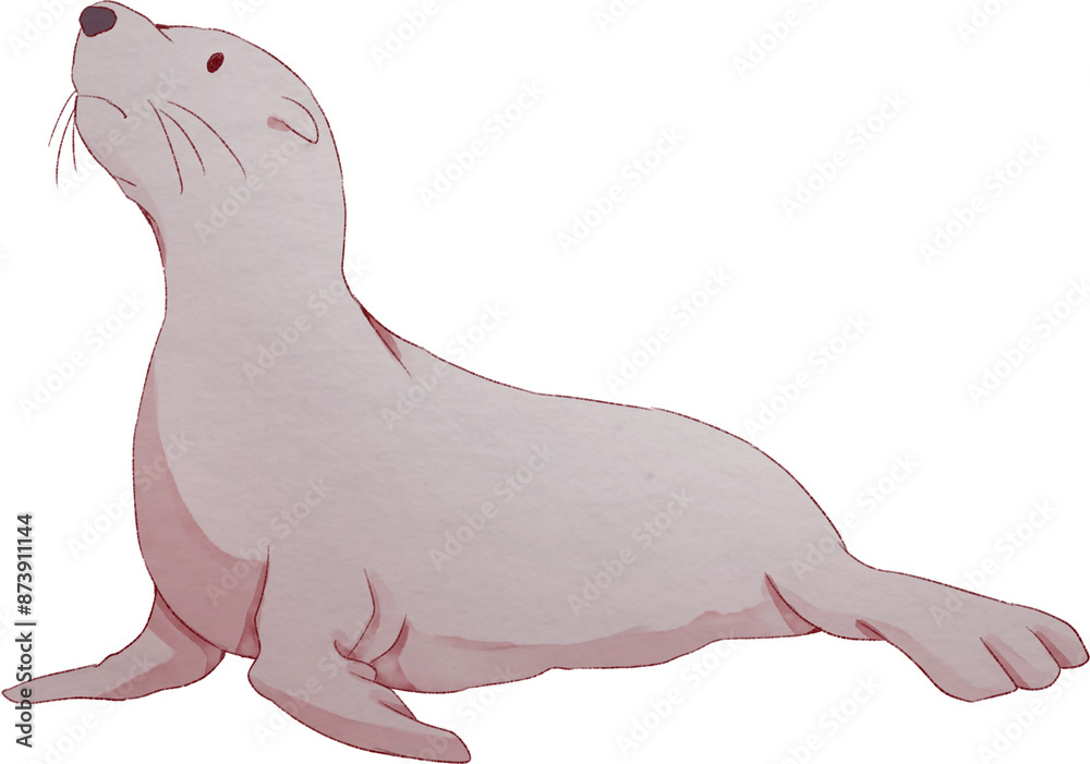 Seal Watercolor Illustration