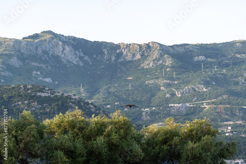 Mountainous landscape in Budva, Montenegro. Green hills with scattered buildings and power lines