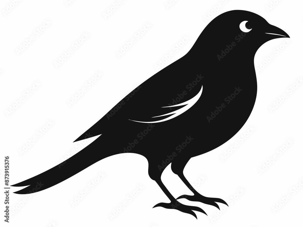 set of silhouettes of birds Vector, isolated black silhouette bird bundle
set of silhouettes of birds Vector, isolated black silhouette bird bundle