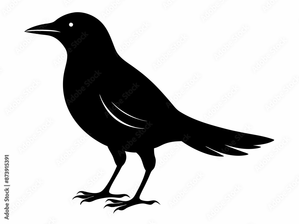 set of silhouettes of birds Vector, isolated black silhouette bird bundle
set of silhouettes of birds Vector, isolated black silhouette bird bundle