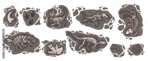 Dinosaur fossil. Dino footprint. Archaeology stone. Prehistory evolution. Jurassic animal. 3D ancient bones in soil. Tyrannosaurus paw silhouette. Ground excavation. Vector cartoon paleontological set