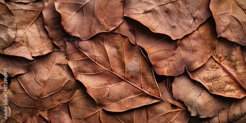 High-Resolution AI-Generated Background Featuring Piles of Brown Dry Leaves, Perfect for Autumn, Seasonal Change, and Nature Concepts