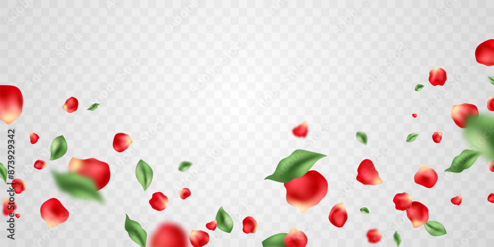Beautiful flower petals background vector illustration. Beautiful flower petals background vector illustration.