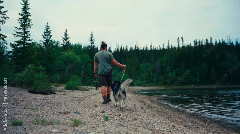 Man And His Alaskan Malamute Dog Walking By The Lake In Indre Fosen, Norway - Wide Shot Man And His Alaskan Malamute Dog Walking By The Lake In Indre Fosen, Norway - Wide Shot