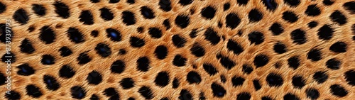 Seamless realistic fur pattern in high resolution photo