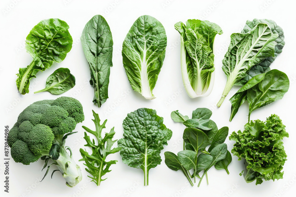 A variety of leafy greens arranged on a white background