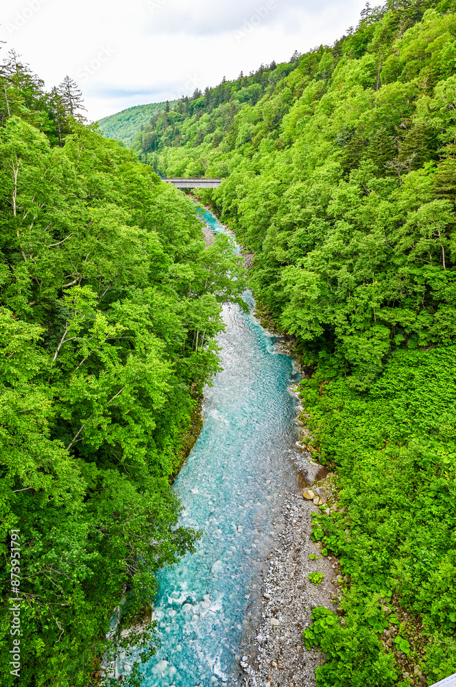 Naklejka premium 北海道美瑛の白ひげの滝