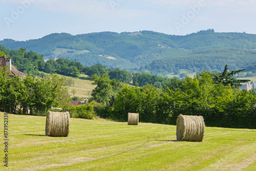 Dry round bales in a field in Southern France near Saint-Céré Lot Occitanie under a blue sky. Round hay bales on the slope of a mountain in summer. photo