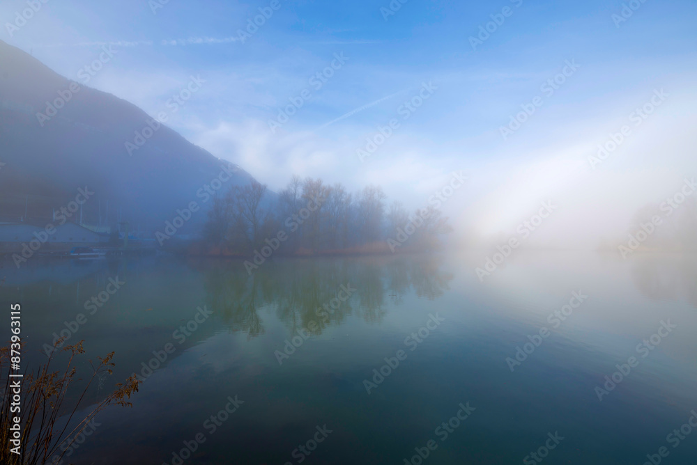 Fototapeta premium Alpine Lake Maggiore with Fog and Trees in Locarno, Ticino, Switzerland.