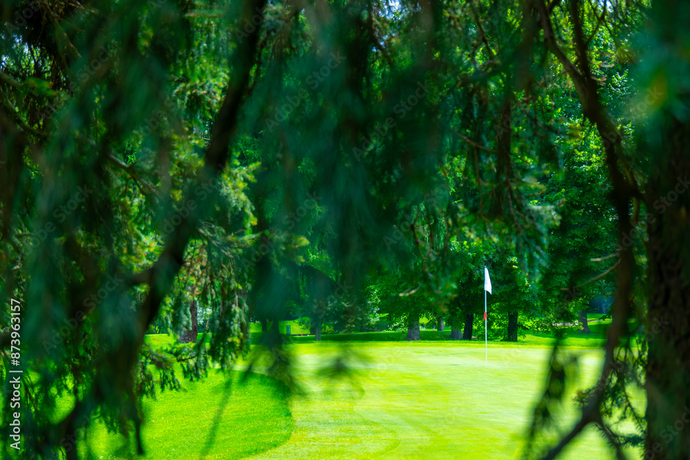 Tree Branch and Putting Green with a Flag on Golf Course in a Sunny Day in Switzerland. Tree Branch and Putting Green with a Flag on Golf Course in a Sunny Day in Switzerland.