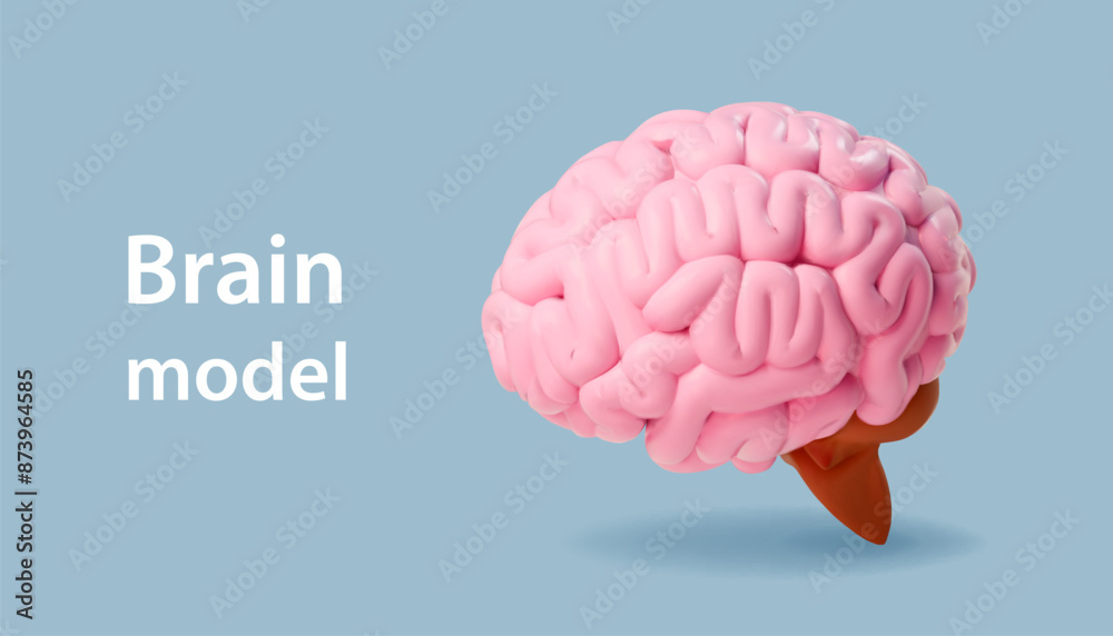 Realistic model of brain. 3D pink human cerebrum icon. Intelligence, mind, mentality illustration. Realistic vector scientist poster Realistic model of brain. 3D pink human cerebrum icon. Intelligence, mind, mentality illustration. Realistic vector scientist poster