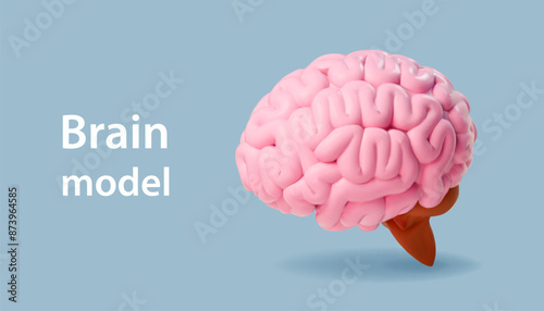 Realistic model of brain. 3D pink human cerebrum icon. Intelligence, mind, mentality illustration. Realistic vector scientist poster